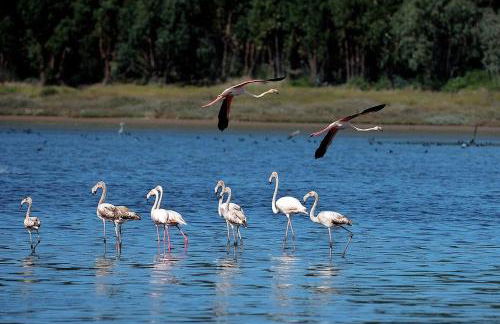 Óbidos Lagoon Refuge - Foto 65
