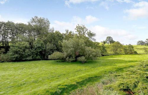 Mill Race at Broughton Sanctuary - Foto 51