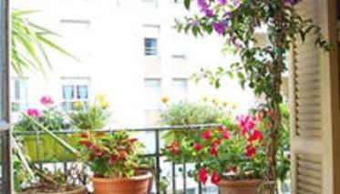 Nissa la Bella - Photo 3