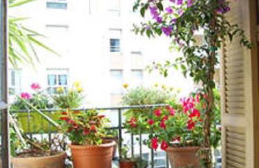 Nissa la Bella - Photo 3