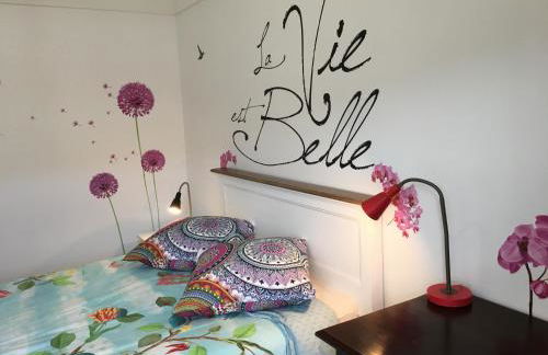 BedinReims elegant green bottle quiet and close to center free parking and wifi free ideal 5 à 9 Adultes - Foto 30