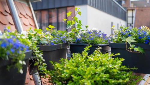 Centre historique terrasse & vue exceptionnelle - Foto 3