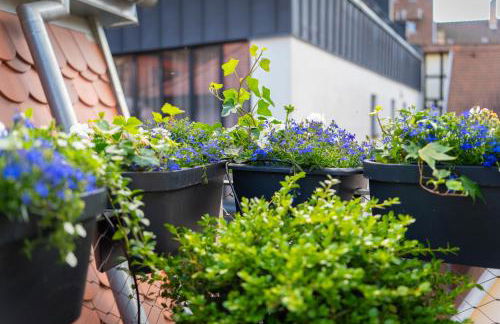 Centre historique terrasse & vue exceptionnelle - Foto 3