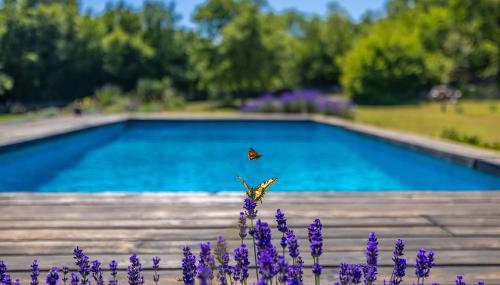 Holiday house GARICA - Foto 2, Garden, Garden view