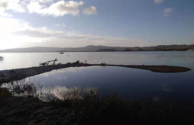 Cosy Cottage Thermal Holiday Park - Foto 65