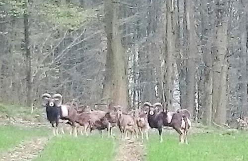 Steewer Landhaus gemütliche Ferienwohnung bis 6 Pers in ruhiger Ortsrandlage - Foto 55