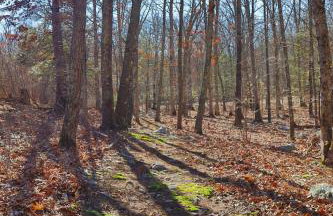 The Yuzu stunning mountain retreat with hot tub - Foto 74