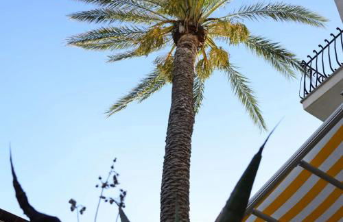 CASA VACANZA LA PALMA one MARINELLA DI SELINUNTE ONE - Foto 52