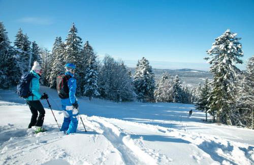 Le pied-à-terre du botaniste - Foto 20