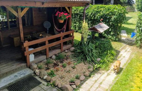 Lawendowy Domek agroturystyka, noclegi - 2,7 km od Bałtowa - Foto 40