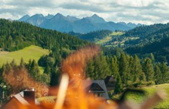 Houten Villa "ReisnaarPolen" Royaal ontbijt tevens Gluten Lactose vrij, Vega en diner mogelijk, sauna en Hottub - Foto 78