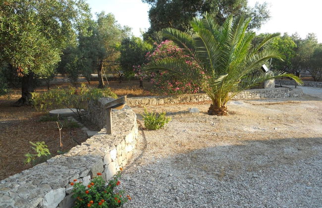 Agriturismo Specchiarussa - Foto 45