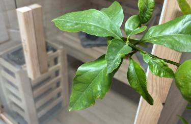 Kuća za odmor MEDENA - Foto 11