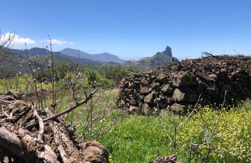 Casa-Finca El Maipéz de Tejeda - Foto 26