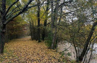 Cabane atypique sur une Île - Foto 49