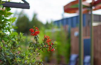 Lisie Sprawki - Foto 55