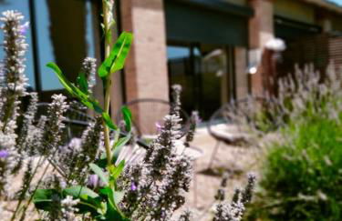 A l Aube du Midi - Foto 3