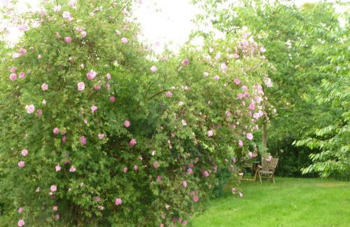 Gutshaus Altbauhof - Foto 25