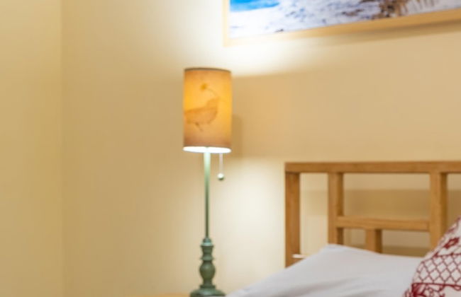 Holiday rental in Havana with terrace - Photo 5