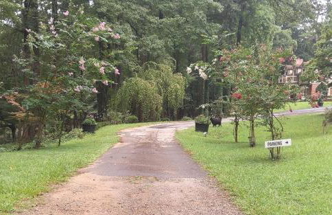 Chans Lakeside Hideaway - Foto 2