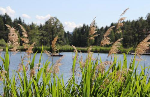 Gfliererhof - Foto 59