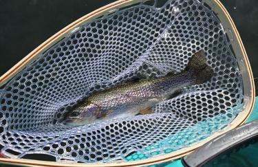 Riverfront Little Red Cabin, Hot Tub, World-class Trout Fishing, Views & Boat Access - Photo 57