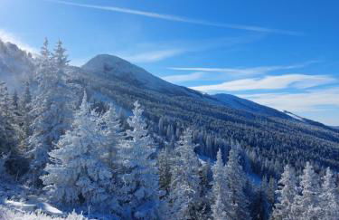 Studio aux pieds des pistes - Le Balcon de Villard - Foto 24