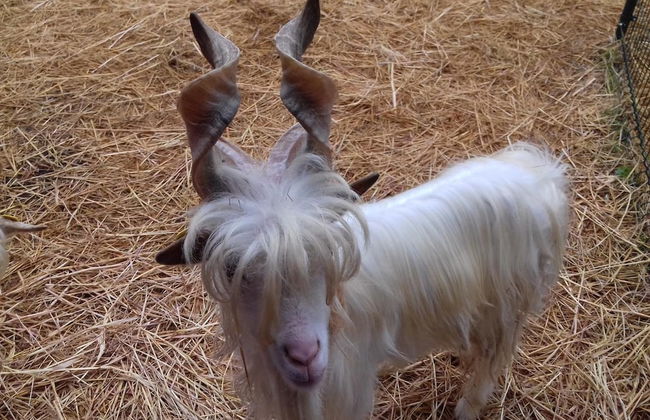 Agriturismo Specchiarussa - Foto 44