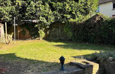 Median Homes - Photo 13