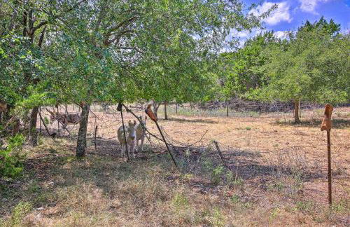 Cozy Texas Retreat with Patio, Grill and Fire Pit! - Foto 27