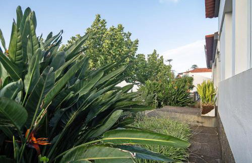 Bettencourt House - Foto 36