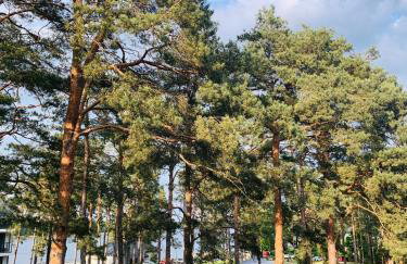 REMAR - Apartamenty Zefir nad Jeziorem Necko - Foto 12