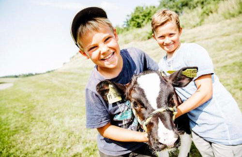 Ferienwohnung Elfriede - Foto 17