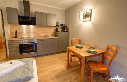 Auszeit-im-Harz Haus 5 Wohnung 11 - Foto 2