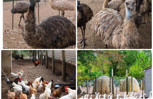 Bucks County Home Farm Philadelphia Dog Friendly - Foto 1