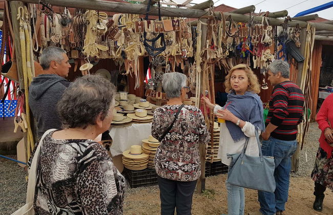 Excursão a Ninhue e Buchupureo - Foto 4