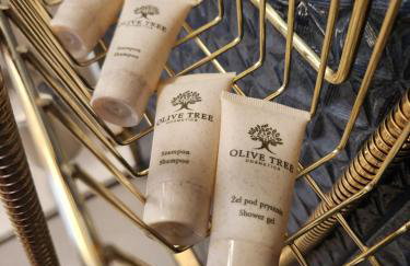 Między Lasem a Morzem - Foto 10