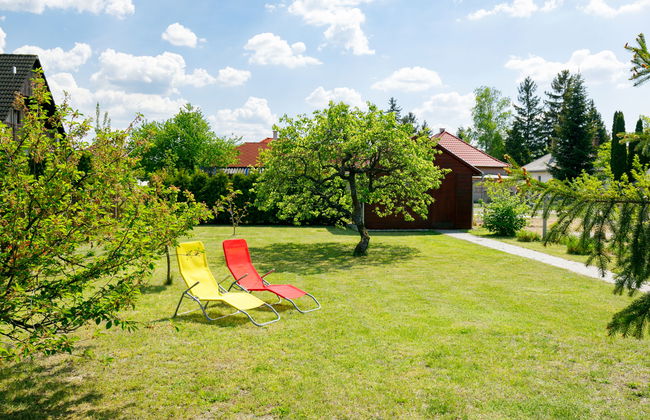 Pear Trees - Foto 24