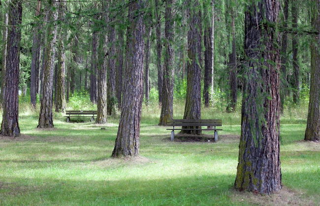 Apartment in Austria With Mountain Views - Photo 20