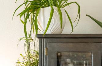 Le Clos Bellevue Appartement T3 parking + piscine - Photo 21