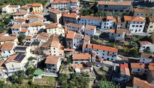 La Cannicciaia - Foto 4