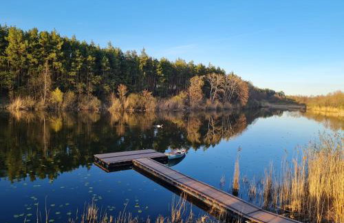 Przyjazna zagroda leśne runo - Foto 2