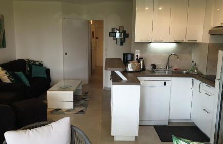 Garden and beach sea view apartment Cannes - Foto 32