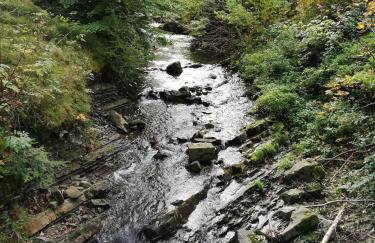 Apartament nad Gorczańskim Strumieniem - Foto 21