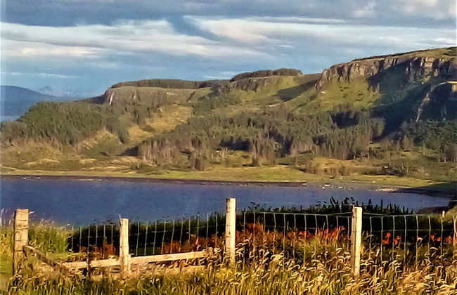 Croft 7 Geary Self Catering Studio - Photo 42