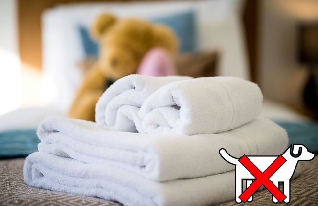 St. Tinney Farm - Photo 54