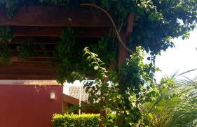 Linda Casa de Campo - Próximo à SP - Wi-Fi grátis - Photo 49