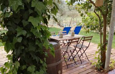 Monte das Aranhas - Foto 39