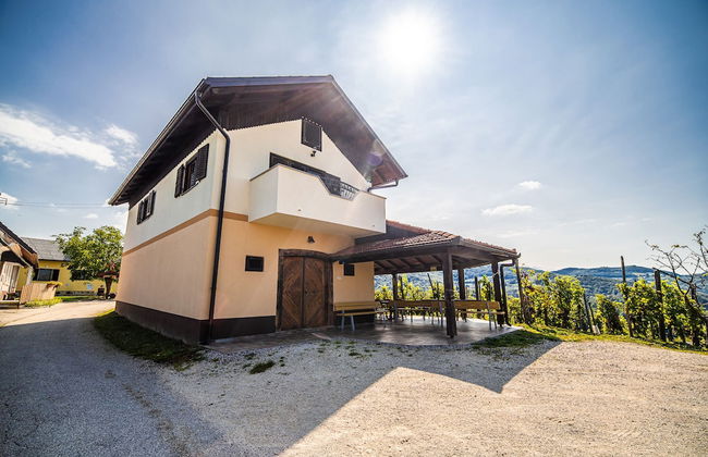 Vineyard Holiday House Kerin - Foto 24