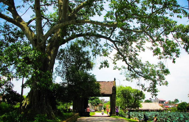 Villaggio antico di Duong Lam - Stile di vita vietnamita - Tour di mezza giornata - Foto 1